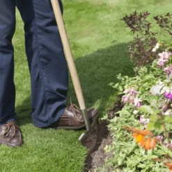 Pokon Hydrokorrels 40L - 16kg 5 Pokon Hydrokorrels 40L - 16kg -Groen Verkoop image 149