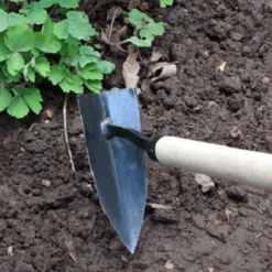 MRS Seeds & Mixtures Type M6 - Bloeiende Voegen -Groen Verkoop image 159