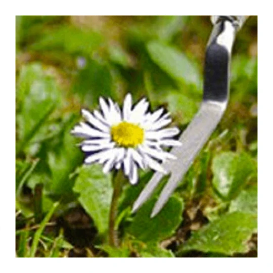 Blossombs Doe-het-zelf! Giftbox Xmas 2 Blossombs Doe-het-zelf! Giftbox Xmas - Afbeelding 2