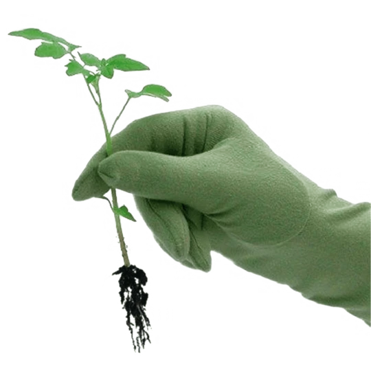 De Wiltfang Foxgloves Original 1 De Wiltfang Foxgloves Original