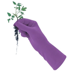 De Wiltfang Foxgloves Original 12 De Wiltfang Foxgloves Original -Groen Verkoop image 216