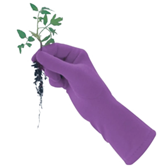 De Wiltfang Foxgloves Original 3 De Wiltfang Foxgloves Original - Afbeelding 3