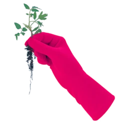 De Wiltfang Foxgloves Original 13 De Wiltfang Foxgloves Original -Groen Verkoop image 217