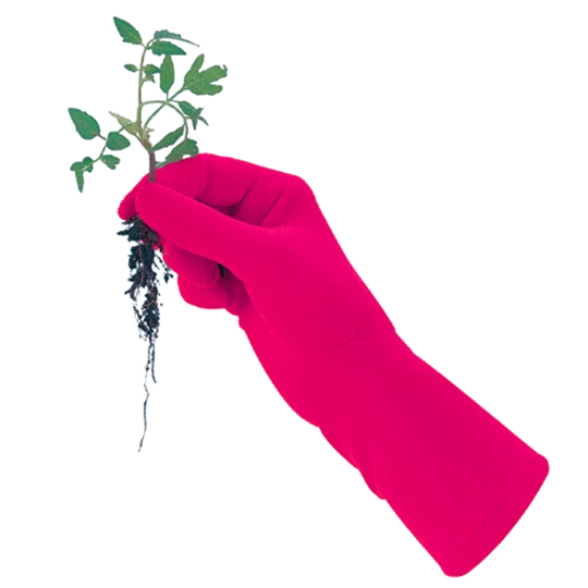 De Wiltfang Foxgloves Original 4 De Wiltfang Foxgloves Original - Afbeelding 4