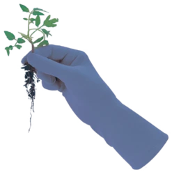 De Wiltfang Foxgloves Original 14 De Wiltfang Foxgloves Original -Groen Verkoop image 218