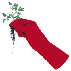 De Wiltfang Foxgloves Original 15 De Wiltfang Foxgloves Original -Groen Verkoop image 219