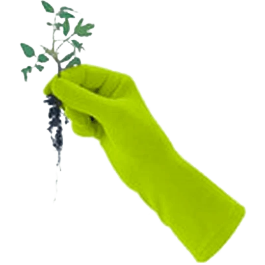 De Wiltfang Foxgloves Original 7 De Wiltfang Foxgloves Original - Afbeelding 7