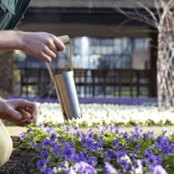 De Wiltfang RHS Bollenpriem, Handmodel -Groen Verkoop image 235